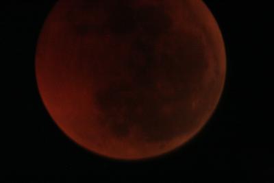 img_8293.jpg